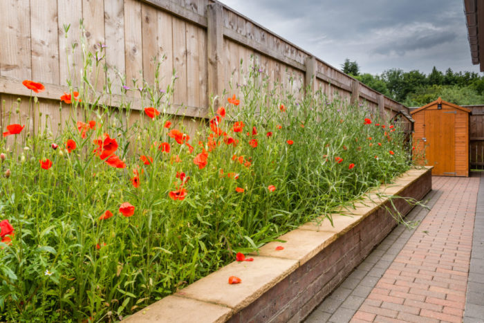 a raised planter filled with poppies and wildflowers