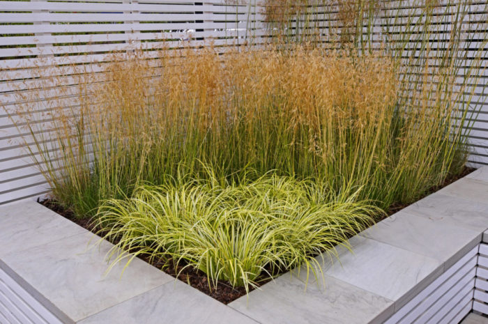 Tips for Growing a Shade Garden 2 a raised planter with ornamental grasses
