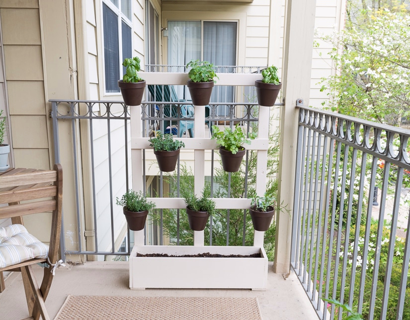 herbs in pots on a balcony, attached to a DIY pallet and planter painted white