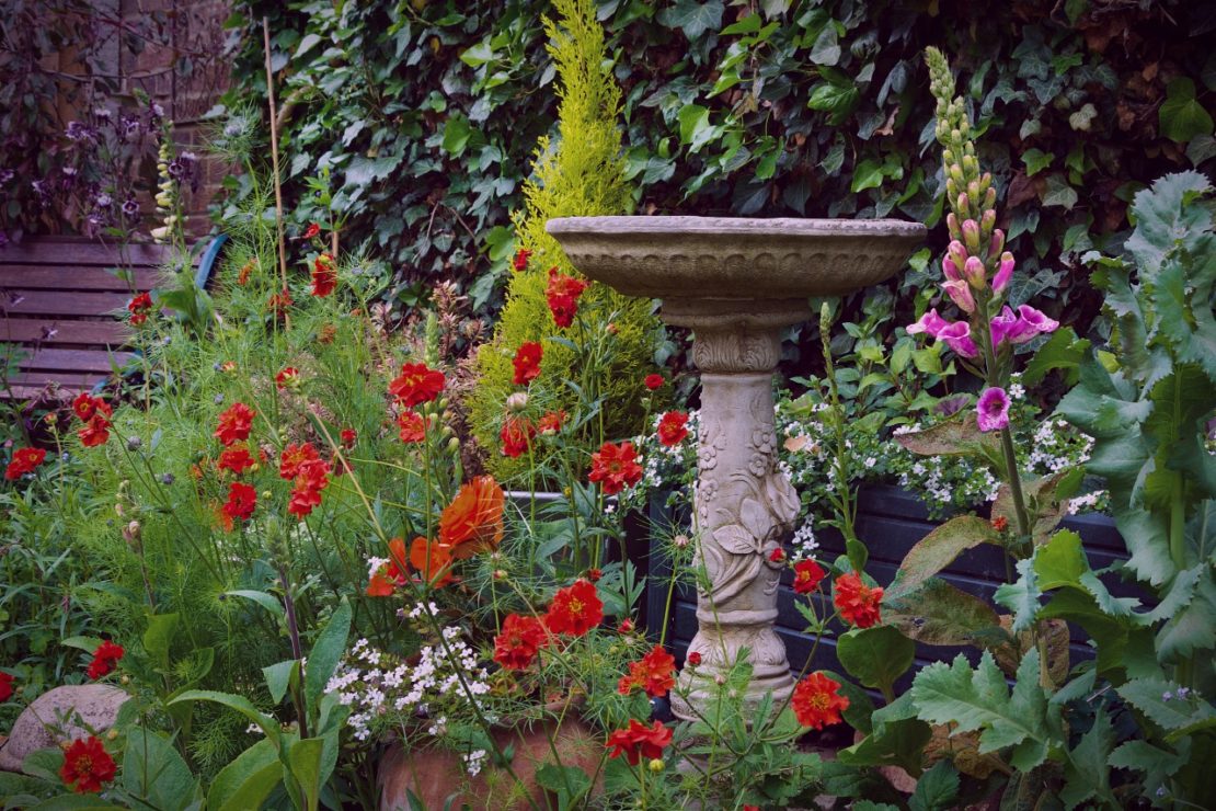 A stone birdbath nestled between wildflowers in an enchanted garden