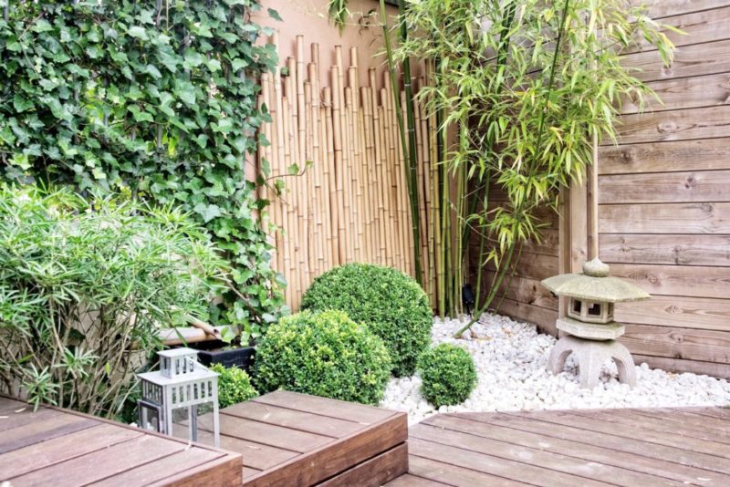 A small, Japanese-inspired garden with decking, box shrubs, pebbles and lanterns
