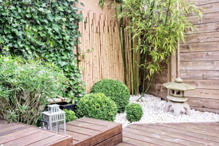 A small, Japanese-inspired garden with decking, box shrubs, pebbles and lanterns