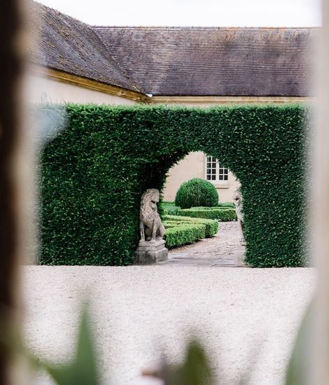 French themed garden ideas combining a gravel driveway and hedge archway into a topiary garden