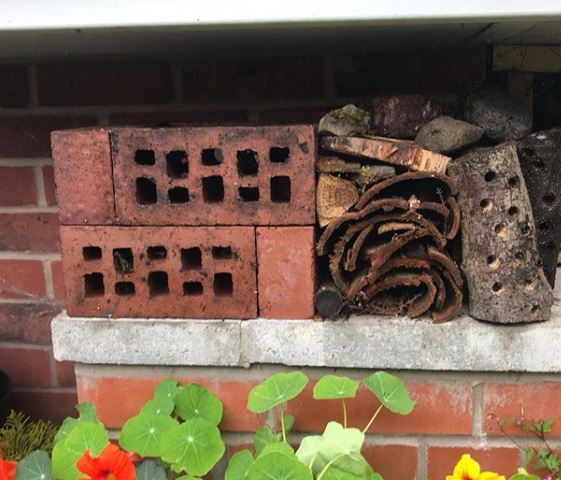 a DIY bug hotel made from air bricks, bark and sticks, wedged in the gap between a step and a wall