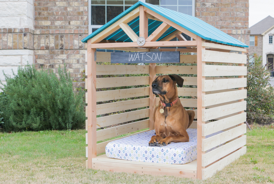 Outdoor Dog Area Ideas For a Puppy-Friendly Garden Paradise 1 a breezy wooden garden shelter made for a dog, known as a dogzebo
