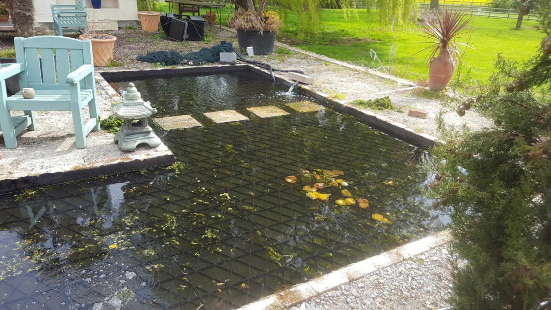 Outdoor Dog Area Ideas For a Puppy-Friendly Garden Paradise 13 a large garden pond with a solid safety mesh just beneath the surface of the water