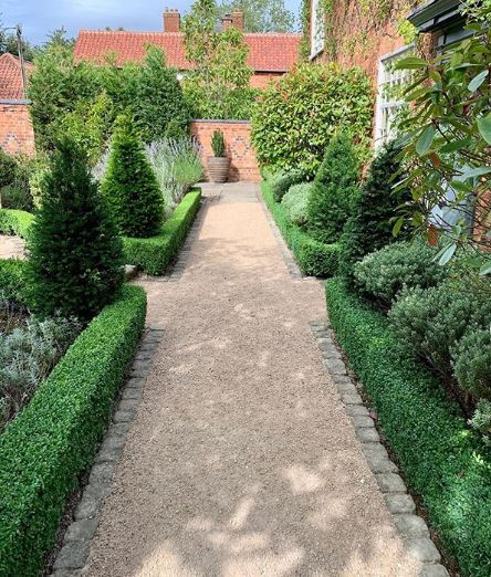 a neat gravel path with short manicured hedges either side