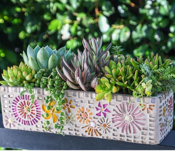 a pretty planter with pink and orange mosaic tiles