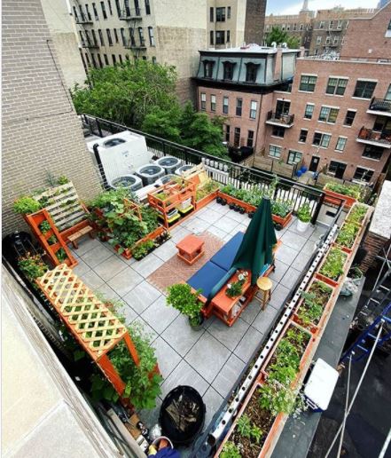 15 Roof Garden Ideas to Design Your City Escape From Chaos 1 a rooftop patio in New York, with lots of plants and vegetables growing in planters, and a bench and parasol in the centre