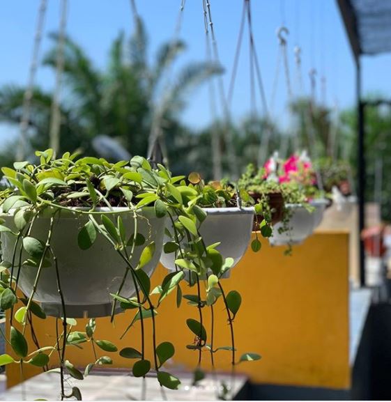 15 Roof Garden Ideas to Design Your City Escape From Chaos 6 a row of small hanging baskets along the edge of a roof terrace