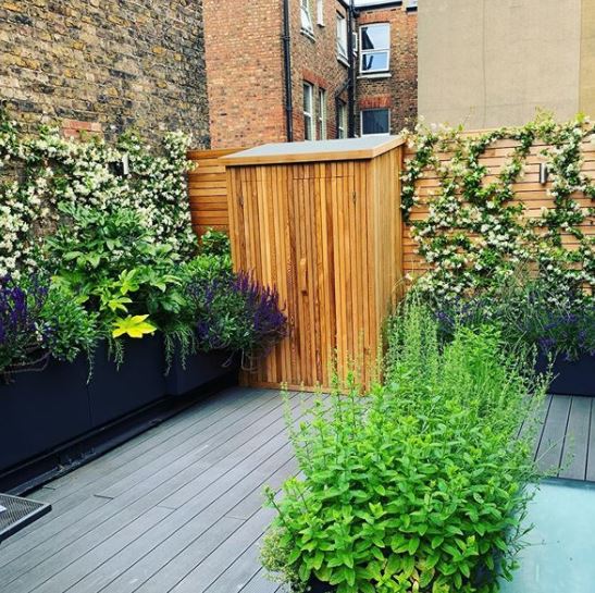 a small half-shed in a rooftop garden, made from a medium wood that matches the fence.