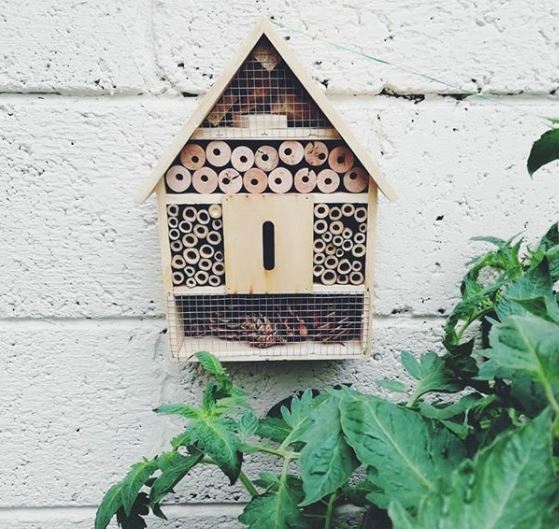 a tiny instect hotel fixed to the wall of a house