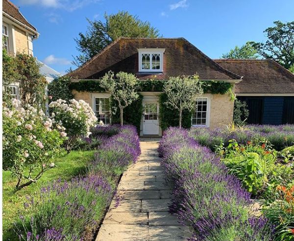 a very cute cottage with a stone path that has lavender shrubs along either side and two symmetrical bay trees flanking the front door