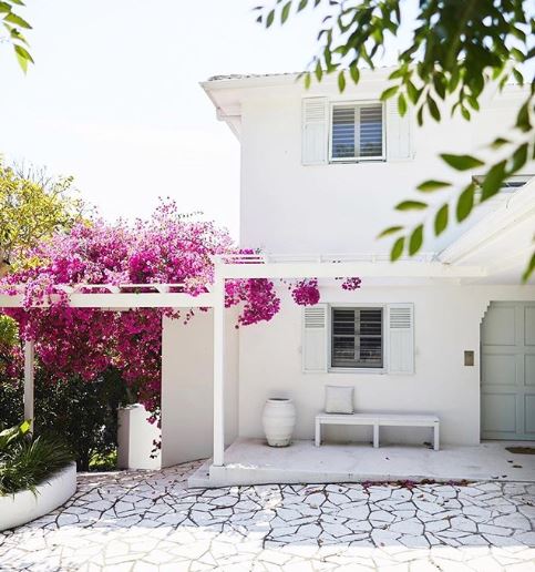 a whitewashed house with a completely white patio and pergola. Growing around the pergola is a bourgainvillea with striking pink flowers