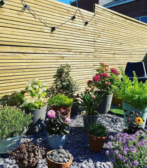 an attractive wooden fence behind a rock garden with lots of potted plants