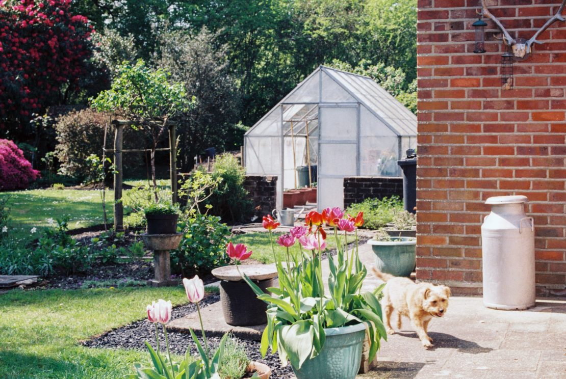 Outdoor Dog Area Ideas For a Puppy-Friendly Garden Paradise 16 Outdoor Dog Area Ideas For a Puppy-Friendly Garden Paradise 5