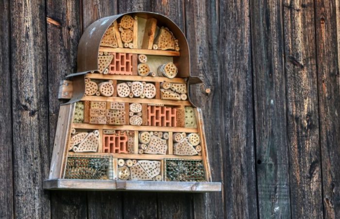 an unusual, keyhole shaped insect hotel