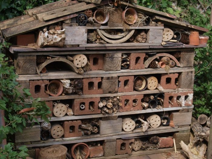 a large garden insect house, with objects arranged to resemble a smiley face 