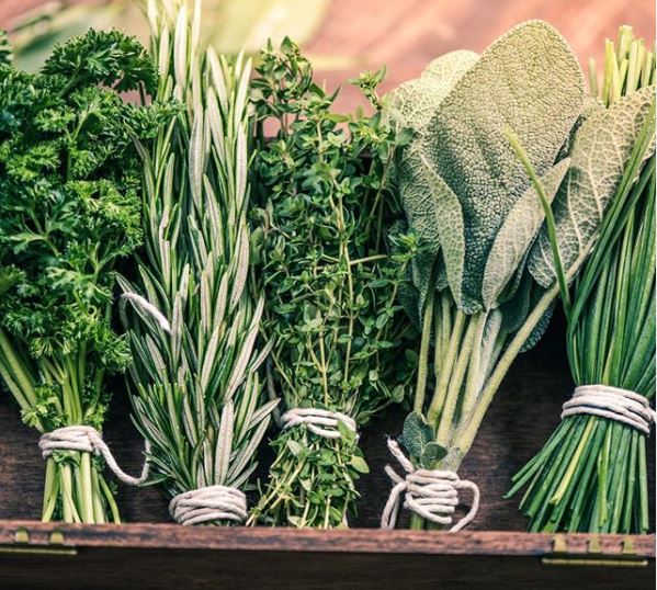 five small bunches of freshly picked herbs, tied up with string to dry