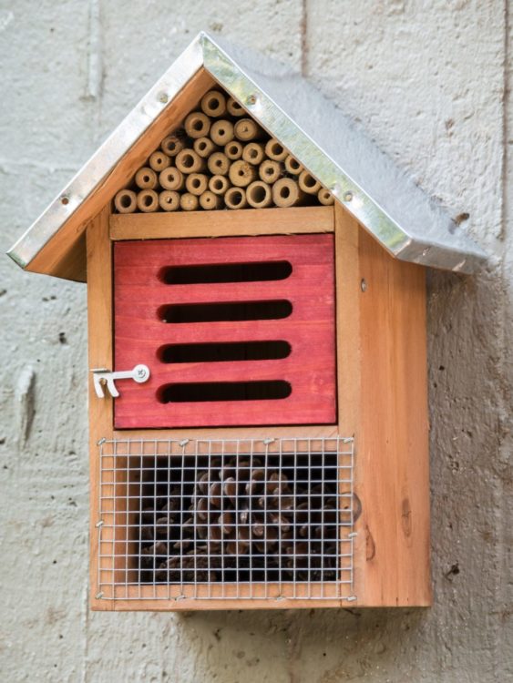 a small wooden bee box with the middle section stained red