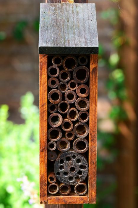 a small, narrow bee house made usgin short canes of bamboo