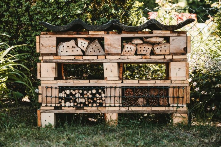 DIY bug hotel ideas made from reusing old pallets