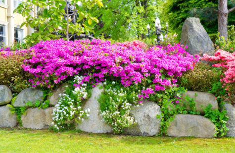The Secret to a Manicured Landscape: 16 Garden Lawn Edging Ideas 2 garden edging ideas using large stone boulders with flowers growing over them