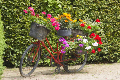 16 Vintage Garden Decor Ideas: Upcycle Glamour to a Garden 17 vintage garden decor ideas using an old bicycle with baskets of flowers on the front, rear and seat
