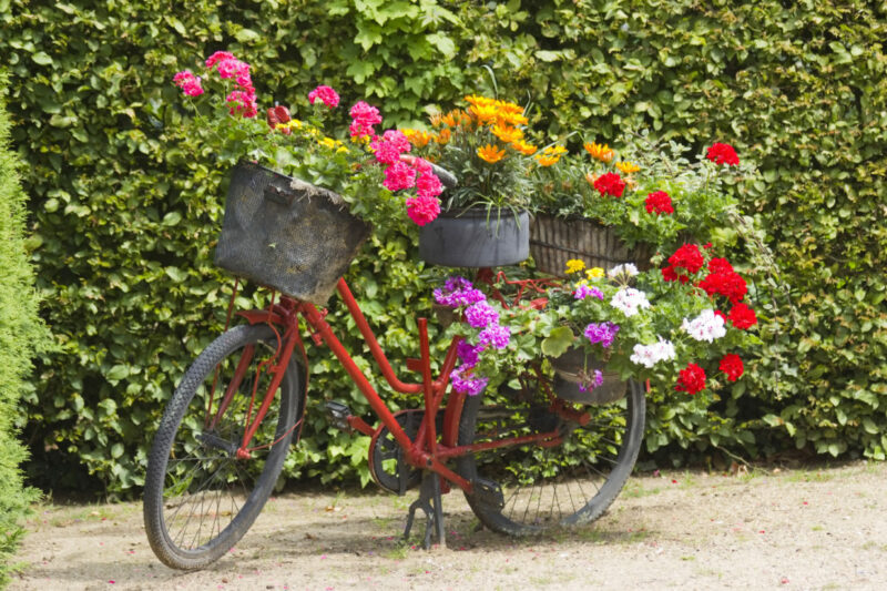 An old bicycle with baskets of flowers on the front, rear and seat