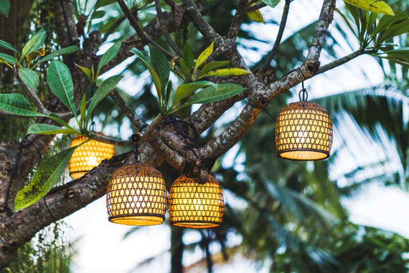 a cluster of small, woven lanterns hang from a leafy tree branch