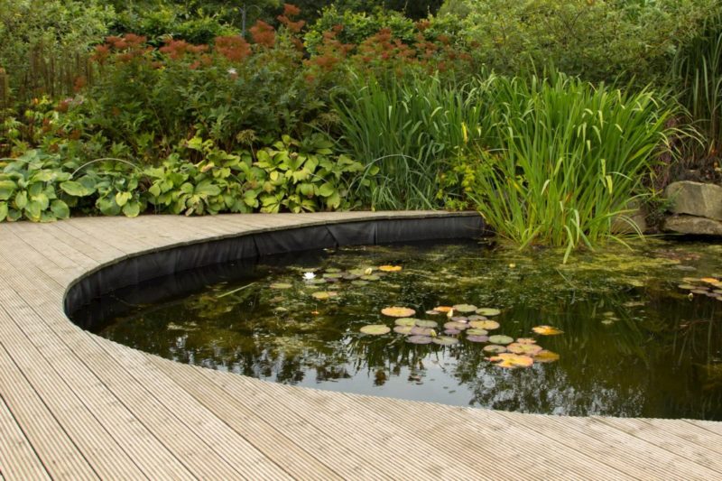a tranquil garden pond surrounded by a clean wooden deck