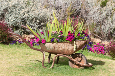 16 Vintage Garden Decor Ideas: Upcycle Glamour to a Garden 16 a rusted wheelbarrow overflowing with flowers