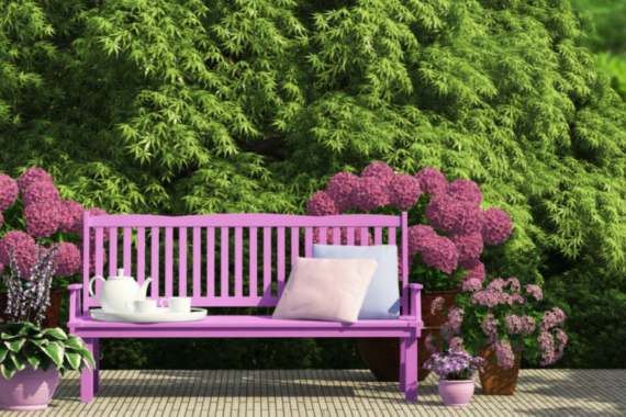 a bench painted in a bright shade of fuschia sits on a patio in front of a hedge