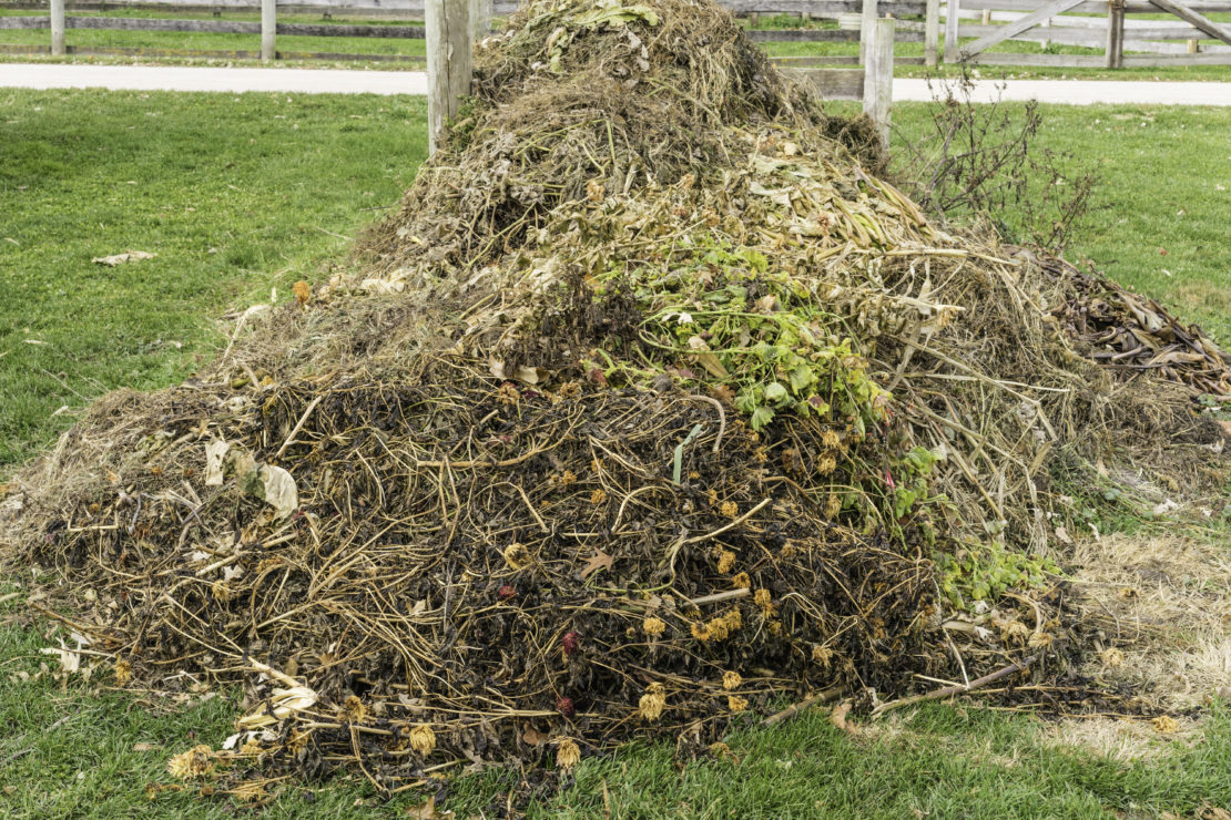 Garden Compost Bin Ideas: The Ultimate Guide to Composting at Home 1