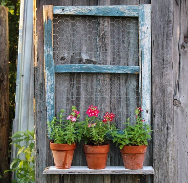 16 Vintage Garden Decor Ideas: Upcycle Glamour to a Garden 8 three potted flowers on a shelf with an old, chicken-wire window attached to the wall behind them as decoration