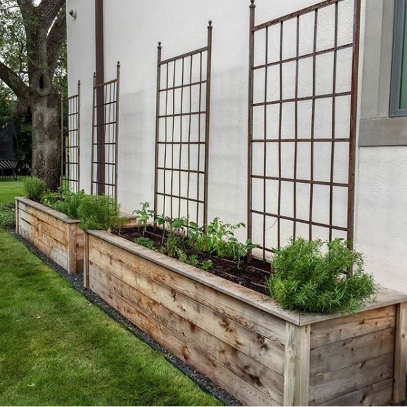 trellises in large planters, big enough to use as benches