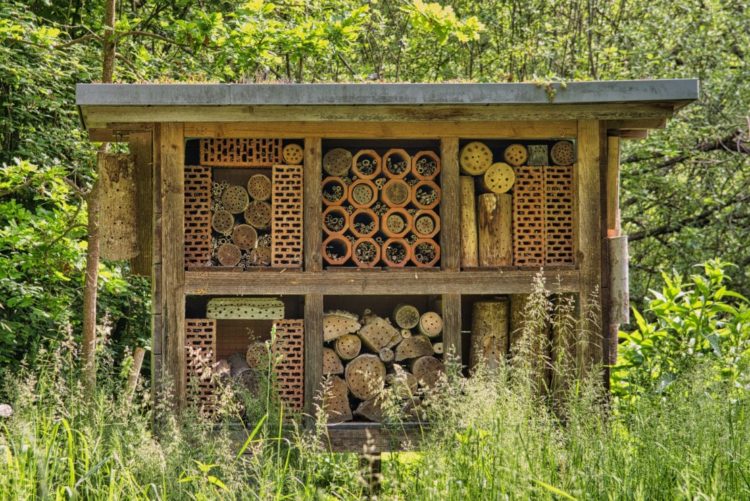 a shed-sized insect hotel in the middle of long grass in a field