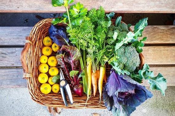 wicker basket filled with brightly coloured produce, fresh from the kitchen garden