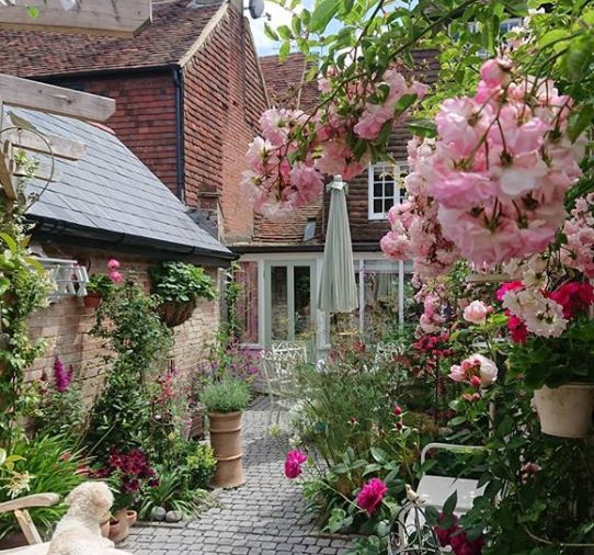 Keep Calm and Carry On: British Themed Garden Ideas 3 British themed garden ideas with blooming rose bushes and a weathered patio