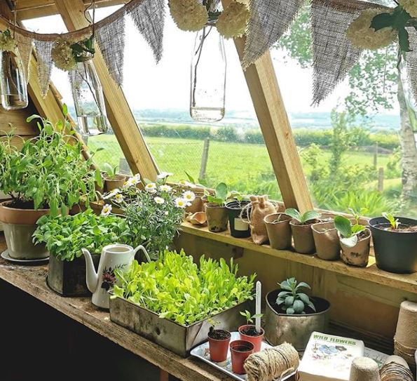 Keep Calm and Carry On: British Themed Garden Ideas 7 The inside of a potting shed looking over a garden