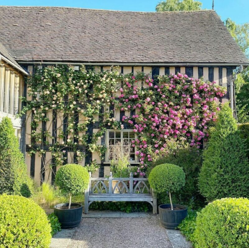 a historic home with stunning rose vines climbing the wall above an ornate wooden bench