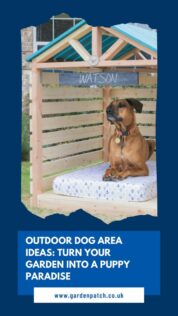 Outdoor Dog Area Ideas For a Puppy-Friendly Garden Paradise 17 dog area ideas