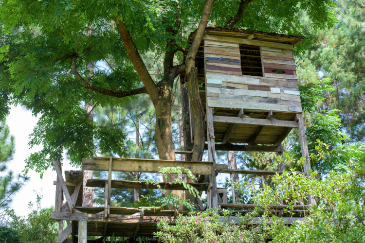11 Awesome Garden Treehouse Ideas for You (and Your Kids) 10 garden treehouse ideas with two levels