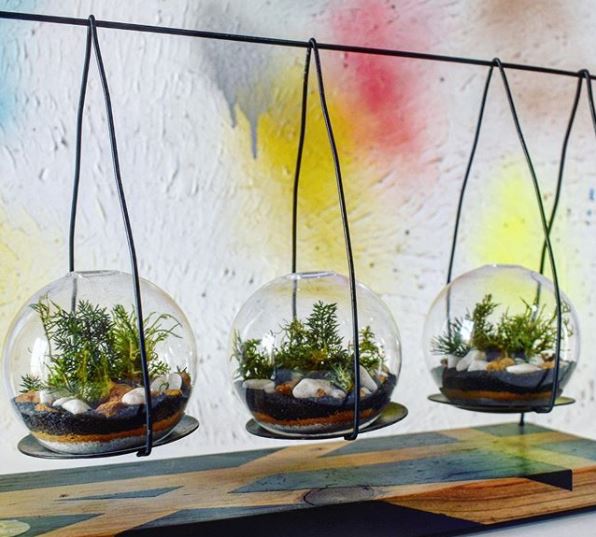 three small terrariums in a hanger