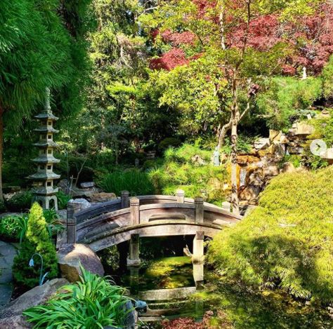 a Japanese garden with green and red foliage, a stone lantern and a small bridge