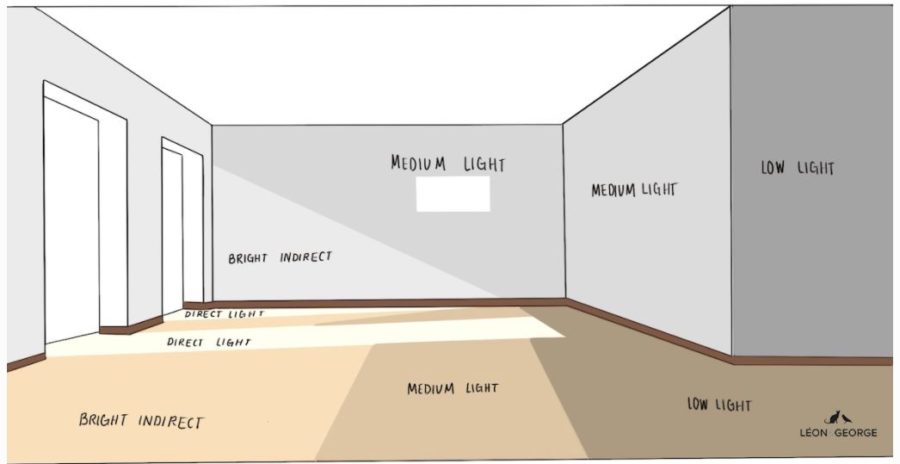 Diagram showing different levels of light for plants in a room
