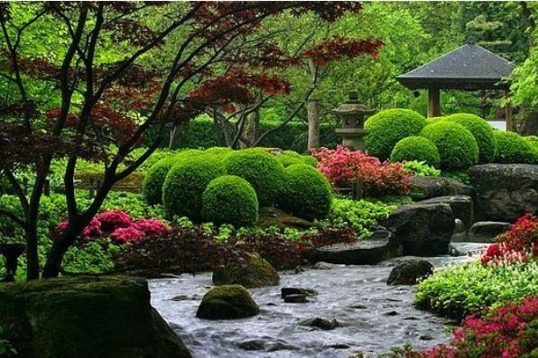 Japanese topiary bushes, called okarikomi