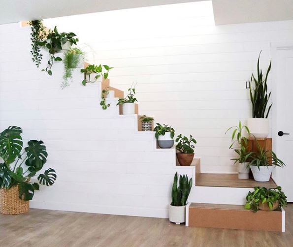indoor garden ideas with plant pots on each step in a staircase