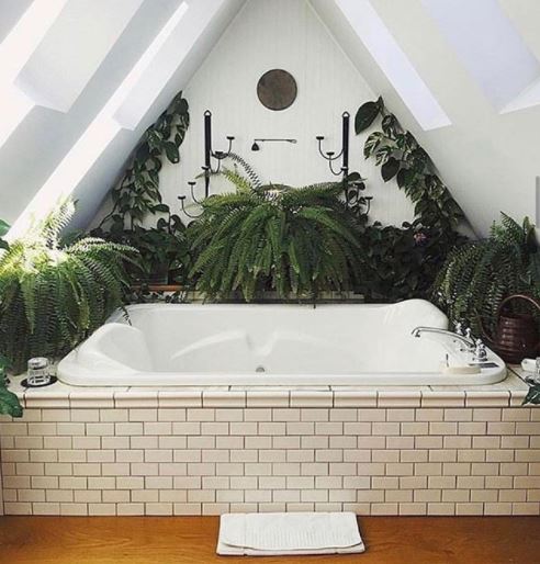 a modern bathroom filled with plants, ferns, monstera and pothos