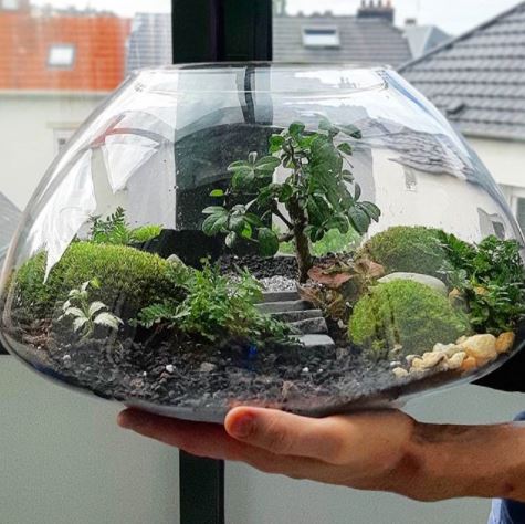 an oval terrarium with decorative landscaping inside